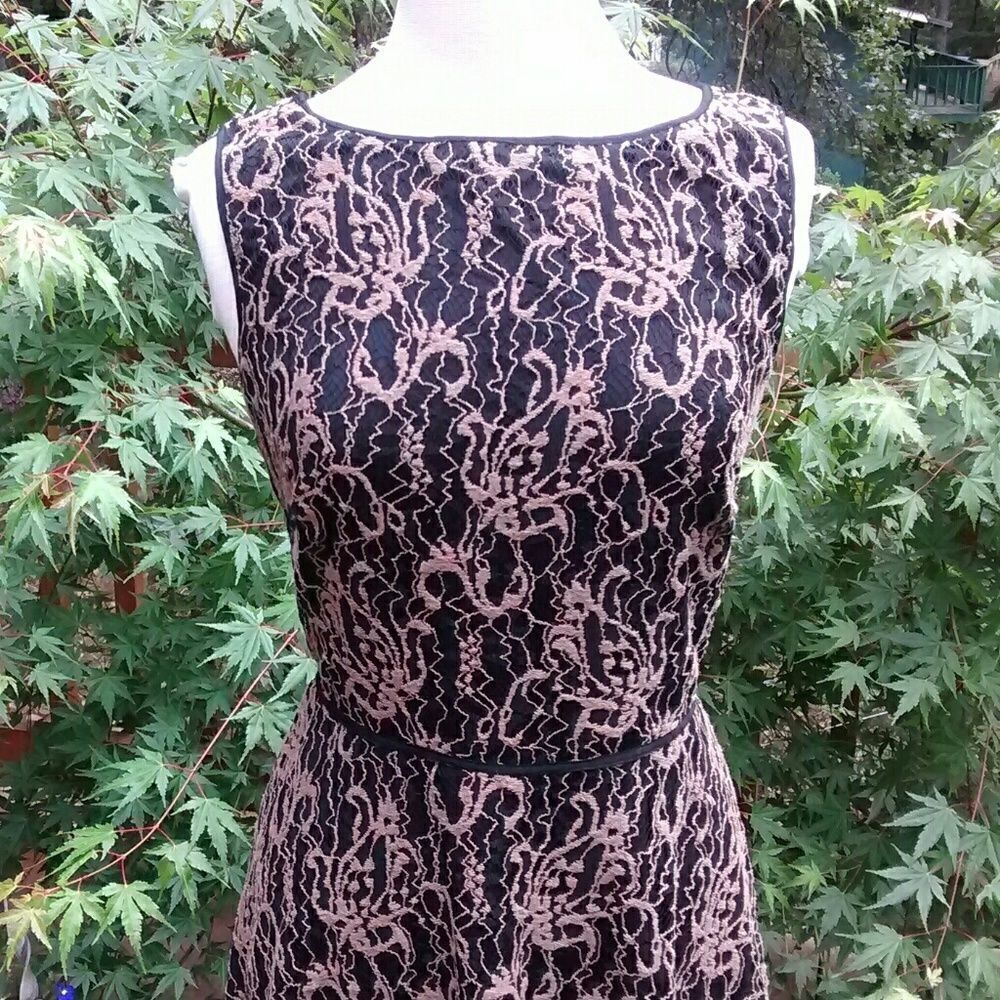 Studio M Dress  - Picture 2 of 8